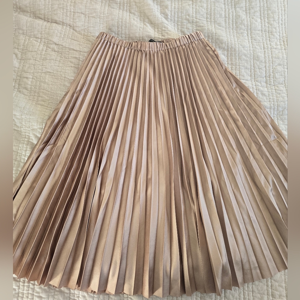 Pleated Midi Skirt in Blush Taupe - Picture 1 of 4